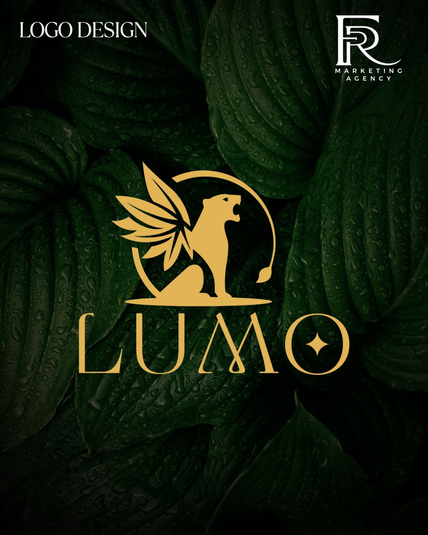 Logos & Identity